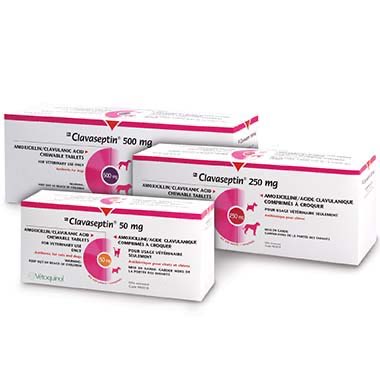 Clavaseptin 500 mg Single Tablet