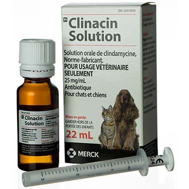 Clinacin Oral Solution 25 mg/ml 22 ml bottle