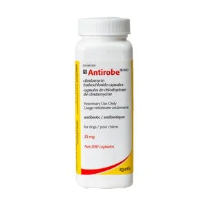 Antirobe 25 mg Single Capsule