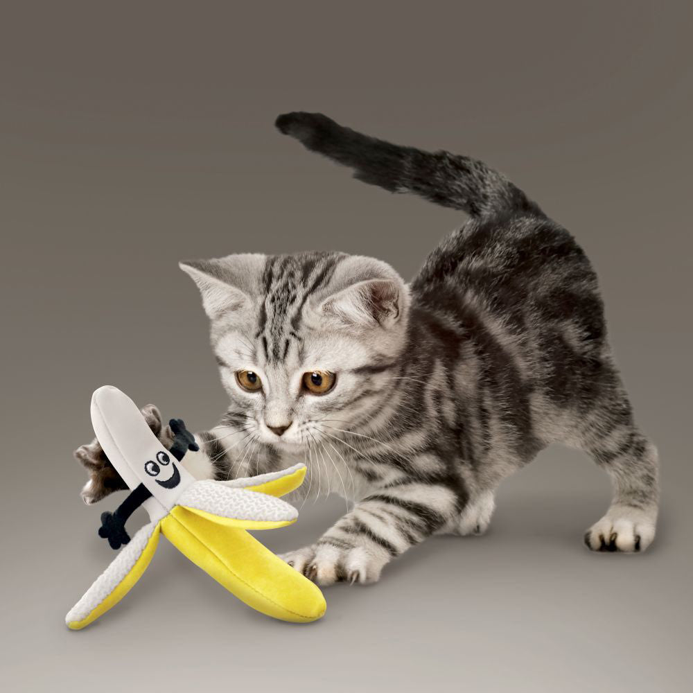 Kong Better Buzz toy catnip