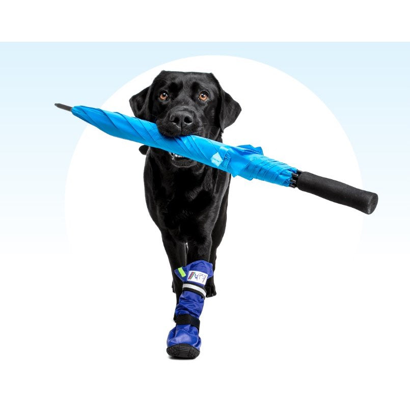 MPS Protection Boot for Dogs