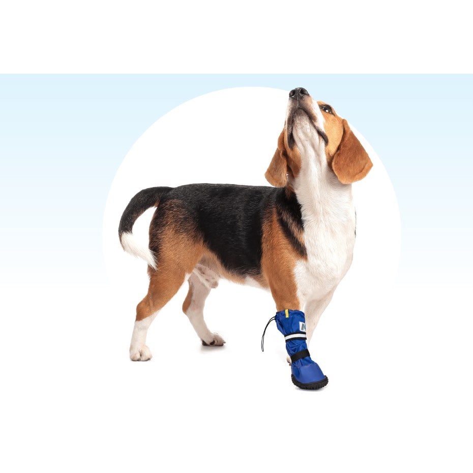 MPS Short Protection Boot for Dogs