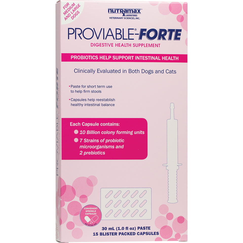 Nutramax Proviable Forte kit 10 Billion CFU for medium to large dogs