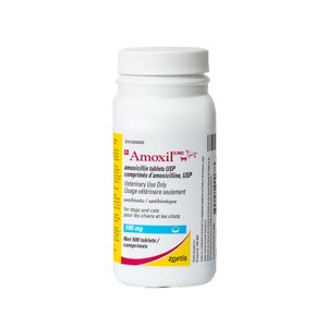 Amoxil 100mg Single Tablet