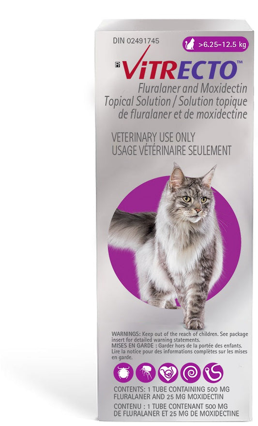 Vitrecto Purple/Violet 6.26 - 12.5 kg, 1 tube
