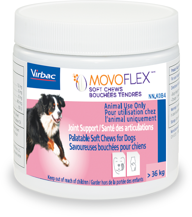 Movoflex Chicken 60 Chews