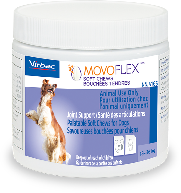 Movoflex Chicken 60 Chews