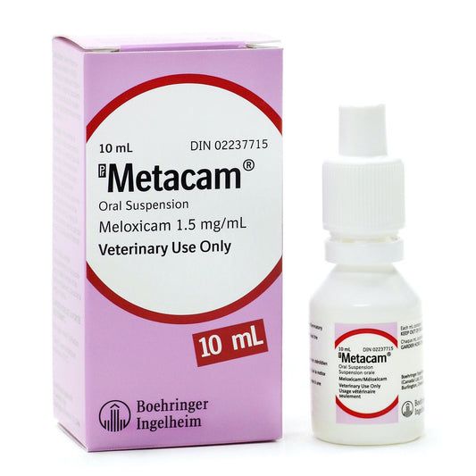 Metacam Dog Oral Suspension 1.5 mg/ml, 10 ml bottle