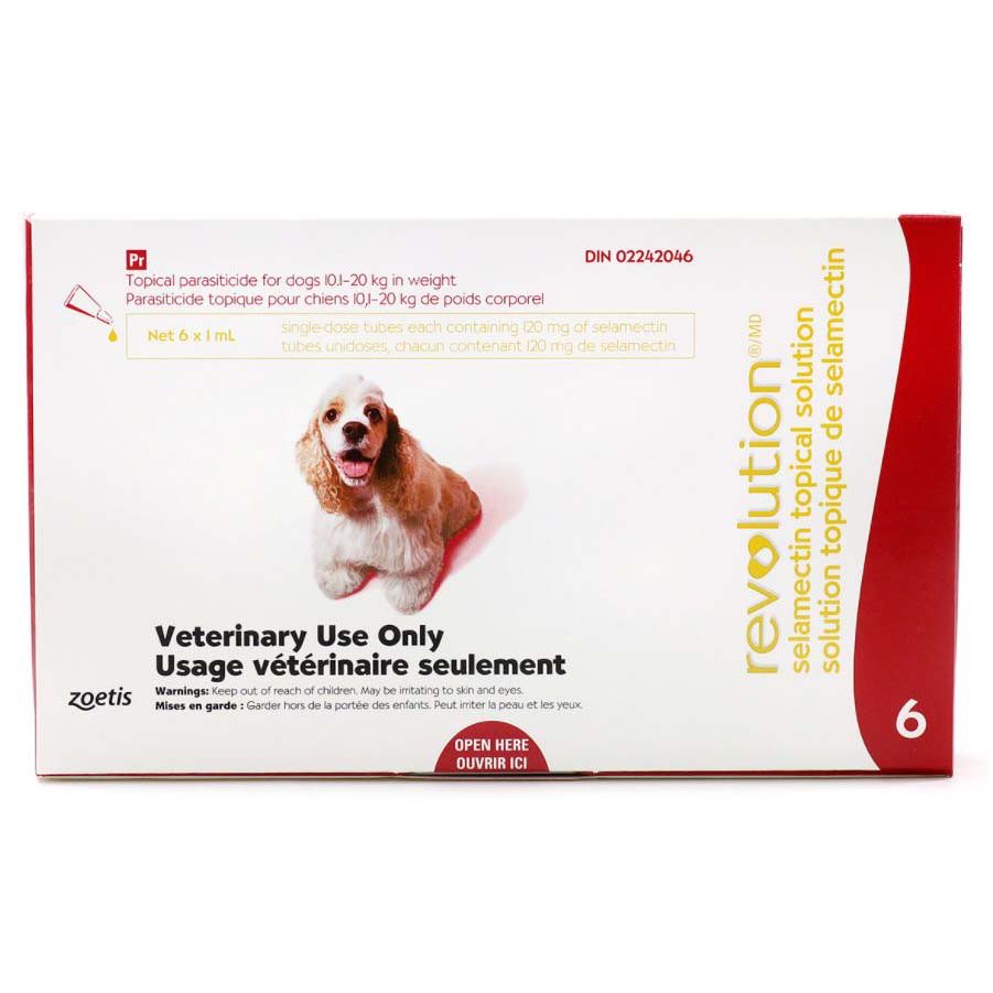 Revolution for Dog Red/Rouge 10.1 - 20 kg, 1 box of 6 applicators