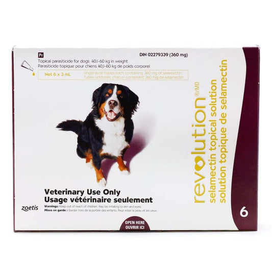 Revolution for Dog Plum/Prune 40.1 - 60 kg, 1 box of 6 applicators