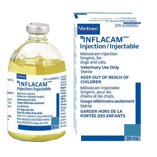 Inflacam Injection 5 mg, 20 ml vial