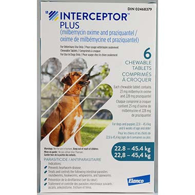 Interceptor Plus Blue/Bleu 22.8-45.4 kg, 6 Chewable Tablets