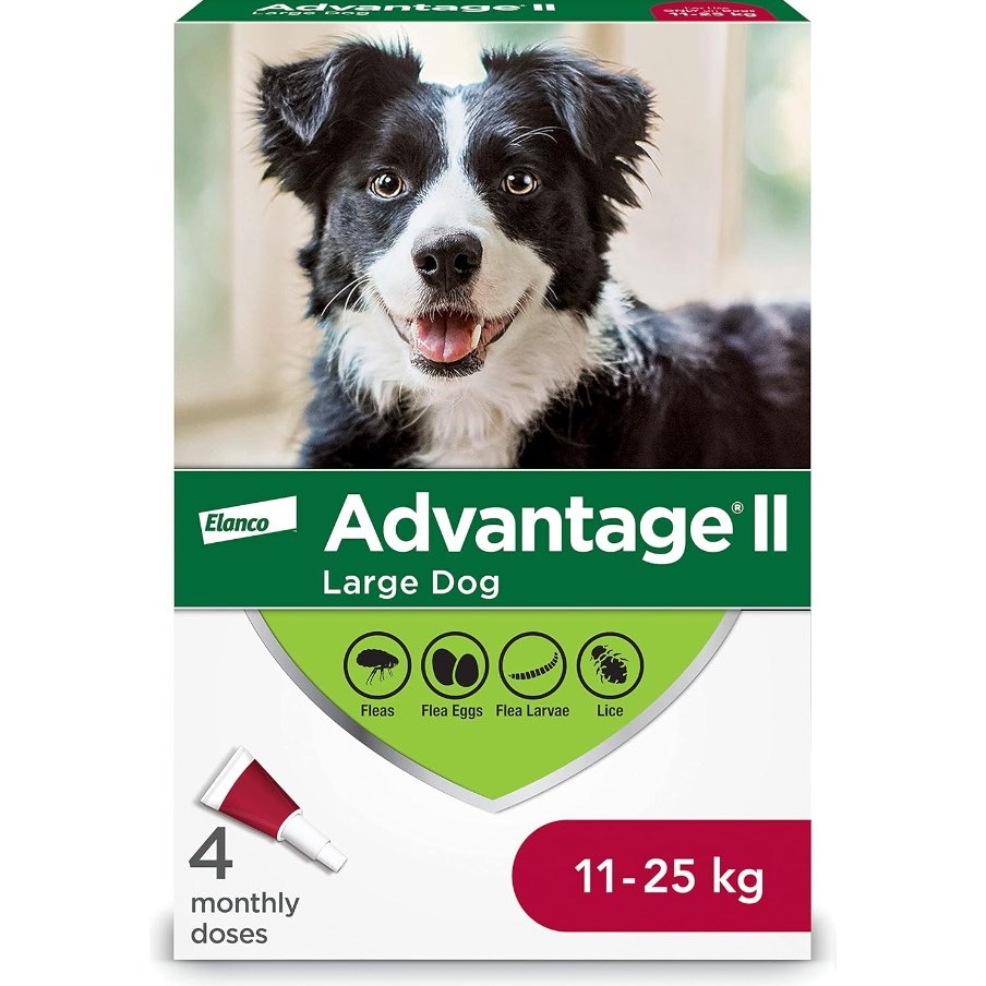 Advantage II Large Dog Once-A-Month Treatment 11-25 kg