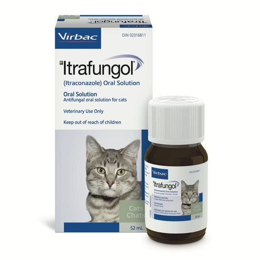 Itrafungol 10 mg/ml - 52 ml bottle