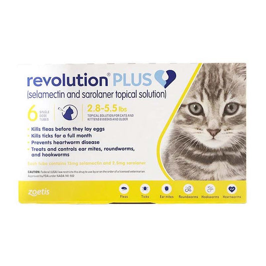 Revolution PLUS  Gold/Doré 1.3 - 2.5 kg, 6 Tubes