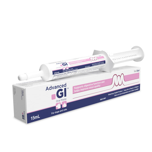 MedVant Advanced GI Oral Paste Original