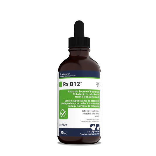MedVant Rx Vitamins Rx B12 liquid - Original