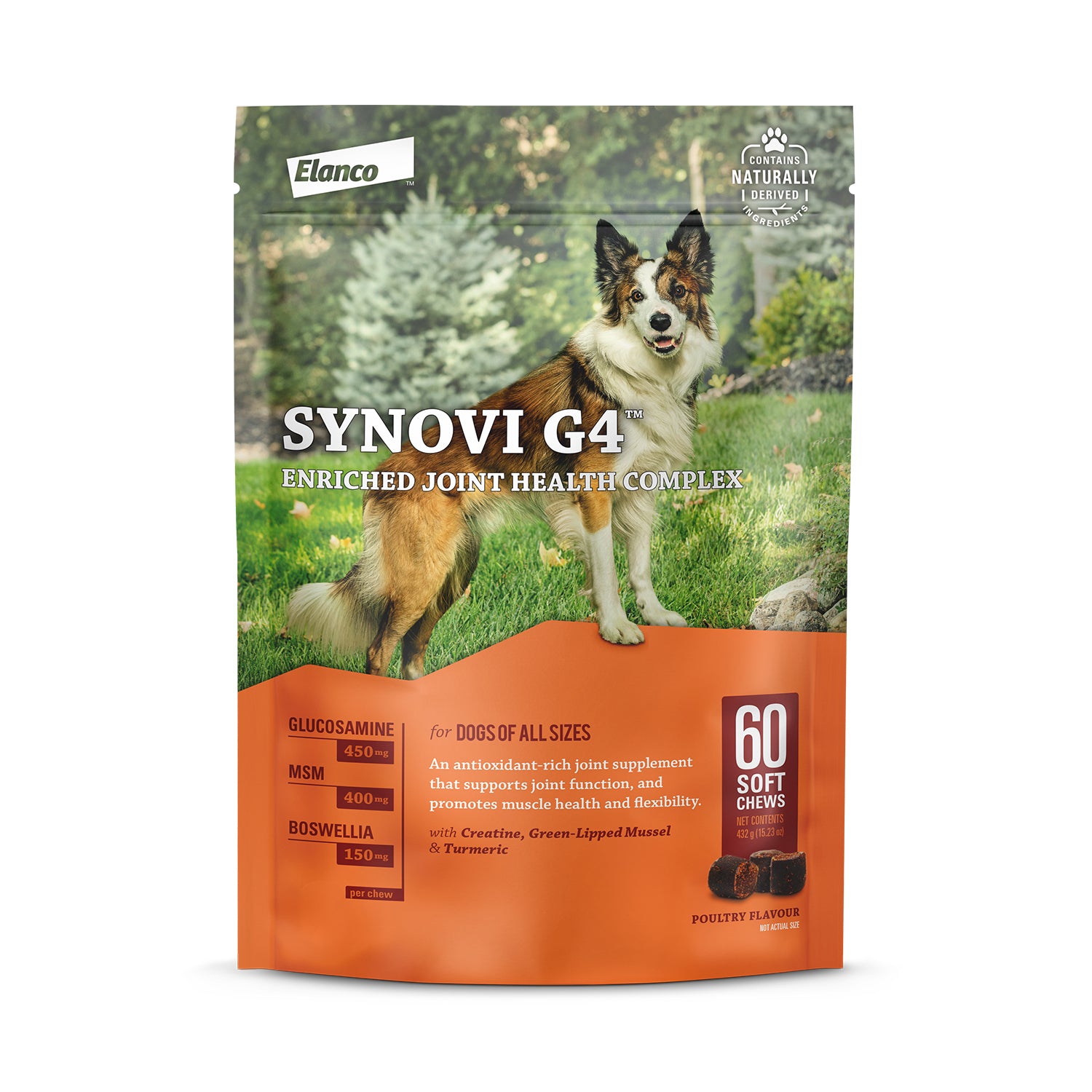 Elanco Synovi G4 Chews