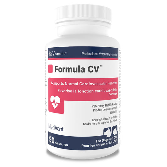 MedVant Rx Vitamins Formula CV Caps