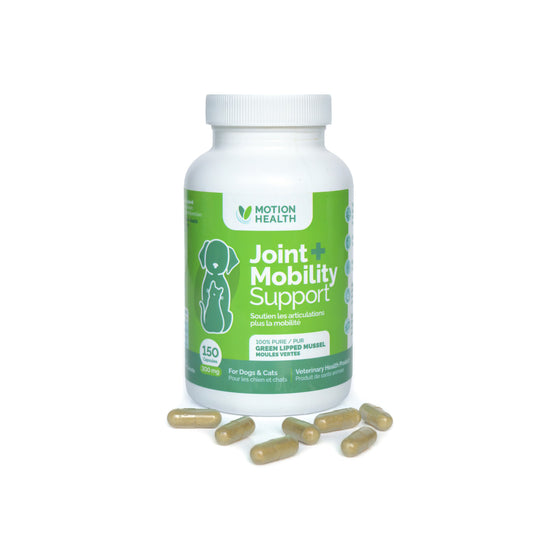 Motion Health Green Lipped Mussels mobility support for cats and dogs 150 Cap