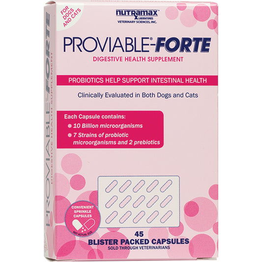 Nutramax Proviable Forte 10 Billion CFU for cats and all-size dogs, 45 caps