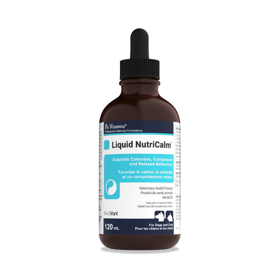 MedVant Rx Vitamins NutriCalm suspension for cats and dogs Salmon 120ml