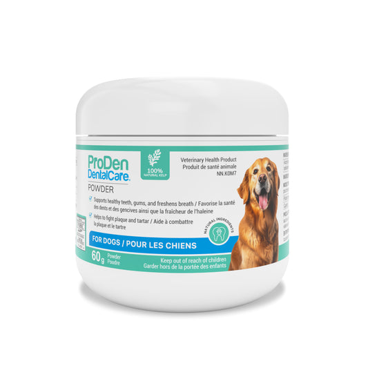 MedVant ProDen DentalCare powder for dogs Original