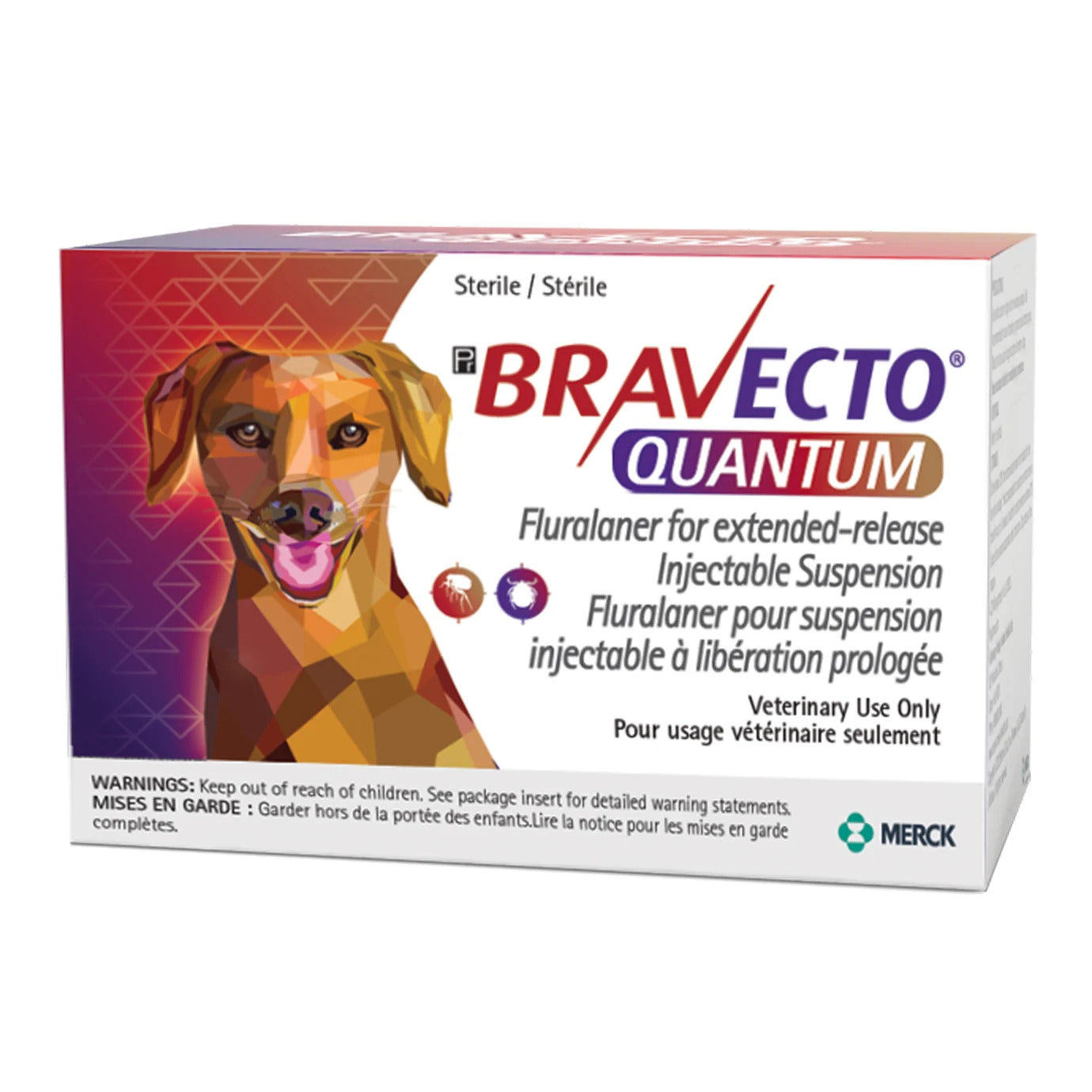 Bravecto Quantum injection (to reconstitute) for dogs