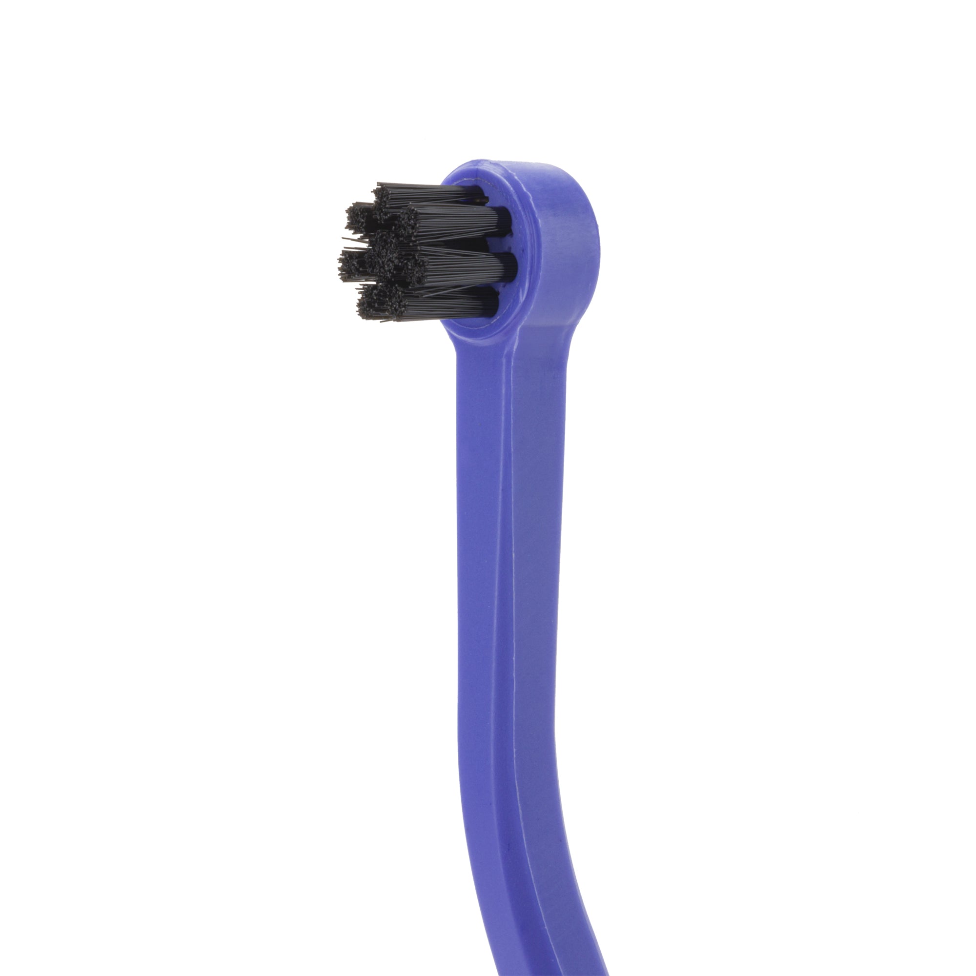 Toothbrush for cats
