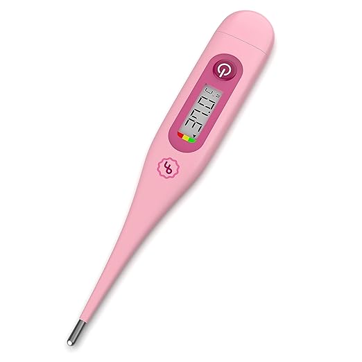 Digital Thermometer