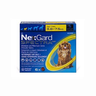 NexGard Spectra Yellow/Jaune 3.8 - 7.5 kg,  6 Chewable Tablets