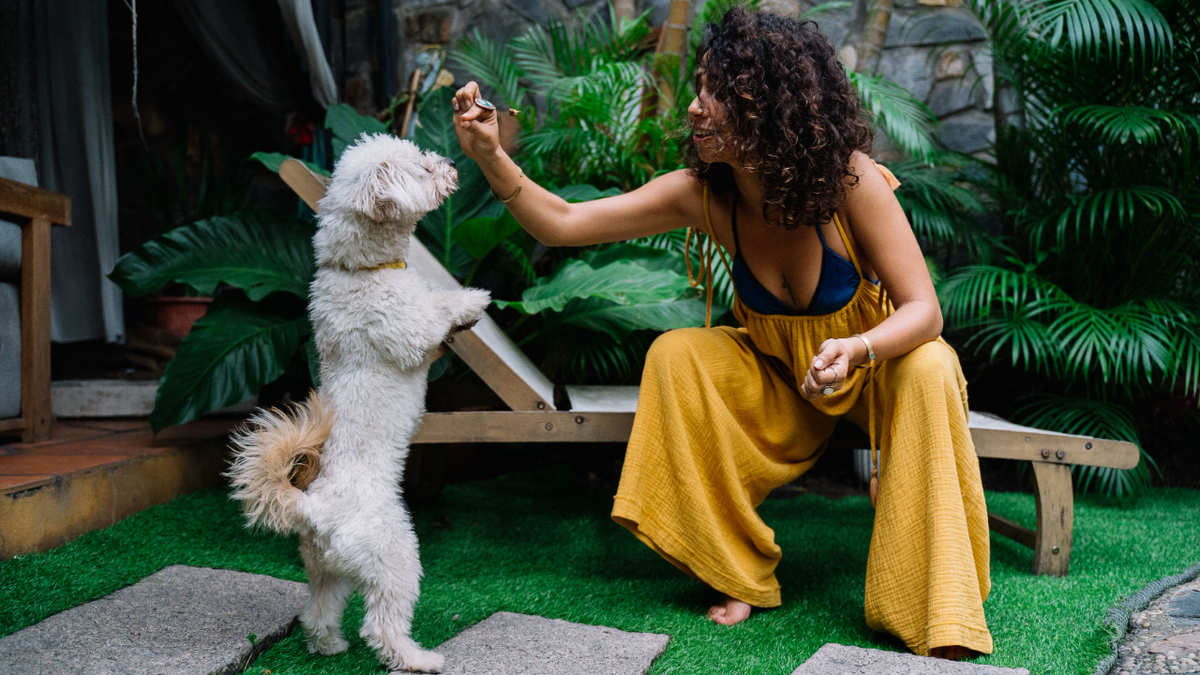 Pet owner with dog