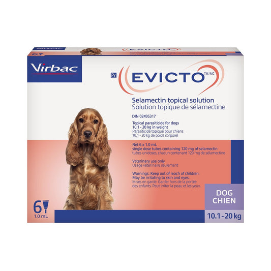 Evicto for Dog Purple/Mauve 10.1 - 20 kg,  6 x 1 ml