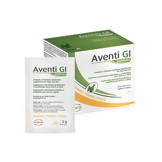 Aventix Aventi GI Essentials 30 x 2 g
