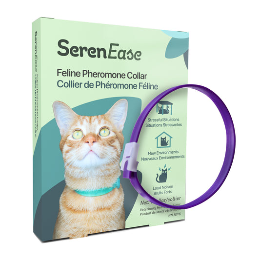 SerenEase pheromone collar for cats